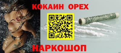 гидра Будённовск