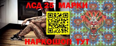 гидра Будённовск