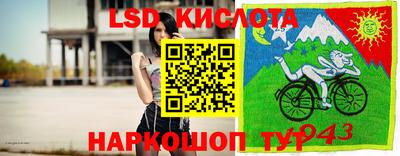 гидра Будённовск
