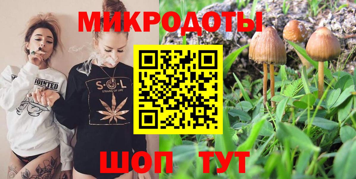 Псилоцибиновые грибы GOLDEN TEACHER Пугачёв